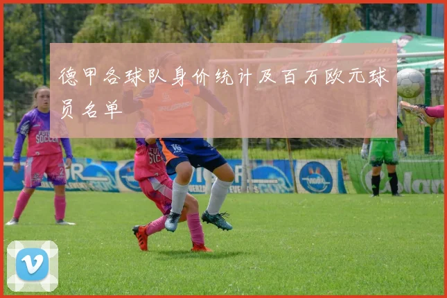 德甲各球队身价统计及百万欧元球员名单