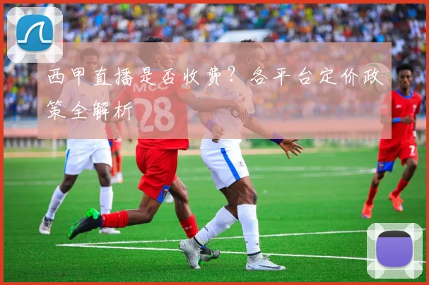 西甲直播是否收费?各平台定价政策全解析