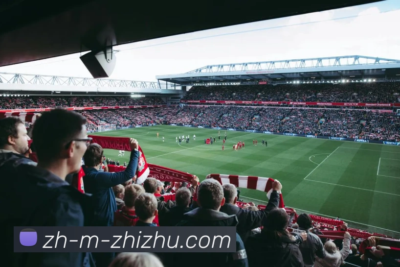 蜘蛛直播平台生态图