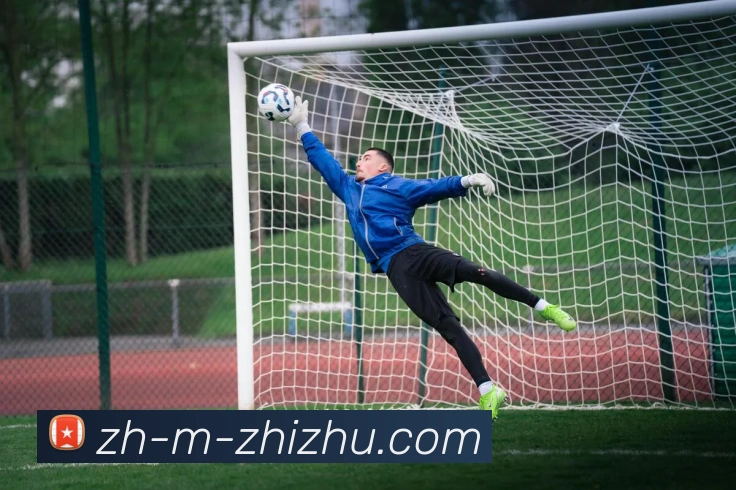 蜘蛛直播APP 封面图