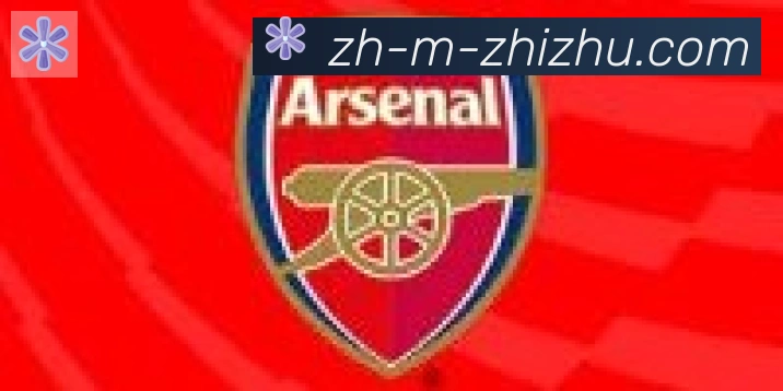 蜘蛛直播合作伙伴